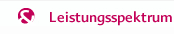 Leistungsspektrum